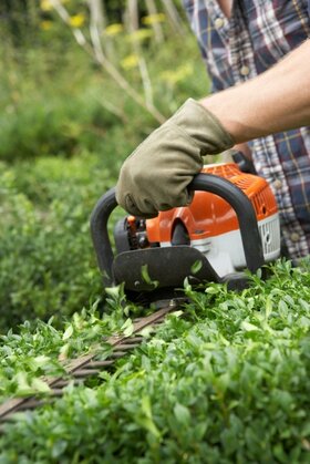 Keeping your hedge trimmer trim